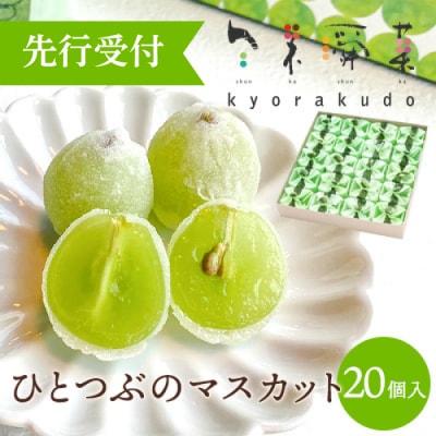 数々のメディアで紹介され大人気のひとつぶのマスカット(20個入)[018-003]
