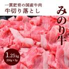 みのり牛切り落とし 1.25kg(250g×5パック)[052-009]