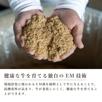 みのり牛肩ローススライス 1.2kg(600g×2パック)[052-013]