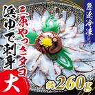 三原やっさタコ浜ゆで刺身(大)約260g[031-004]