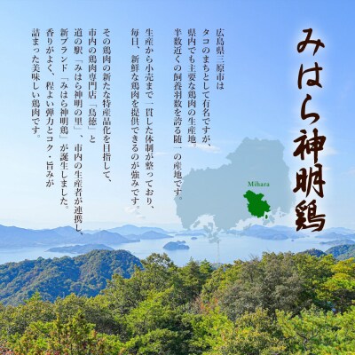 アスリートにおすすめ!低脂質・高タンパクな鶏むね肉 ミンチ 皮なし 合計2kg[012-018]