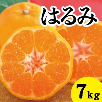 【先行受付】甘くてジューシー!瀬戸内さぎしまのはるみ 約7kg[017-023]
