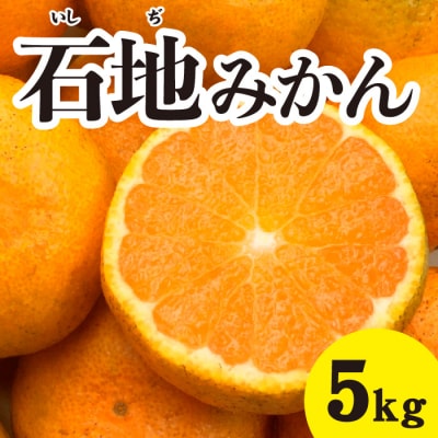 【先行受付】糖度が高く濃厚! 石地みかん約5kg [017-016]