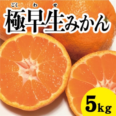 【先行受付】甘さと酸味が絶妙!極早生みかん約5kg[017-012]
