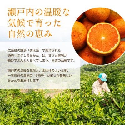 【先行受付】甘さと酸味が絶妙!極早生みかん約5kg[017-012]