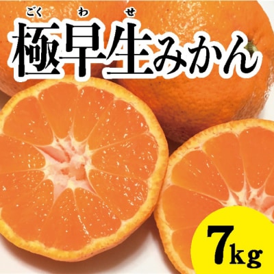 【先行受付】甘さと酸味が絶妙!極早生みかん約7kg[017-013]