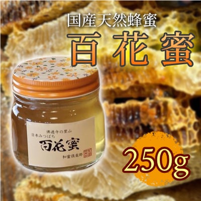 【 国産 天然蜂蜜】はちみつ 日本みつばち 百花蜜 250g たれ蜜製法[108-002]