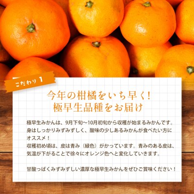  栽培期間中農薬・除草剤不使用 極早生みかん 約5kg ≪ 果遊工房 ≫ [017-008]