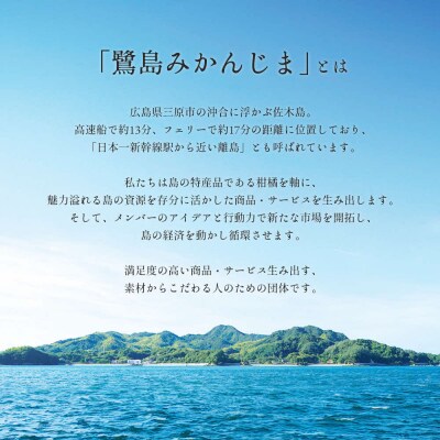 【栽培期間農薬・除草剤不使用】はるみ 約5kg ≪ 果遊工房≫ [017-010]