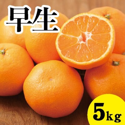 【先行受付】甘いだけじゃない!甘みと酸味の 早生みかん 約5kg[017-014]