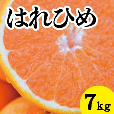 【先行受付】爽やかな香りと甘さに満足!はれひめ約7kg[017-019]
