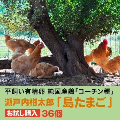 【お試し】島たまご 有精卵 36個(34個+割れ補償2個) 平飼 [017-034]