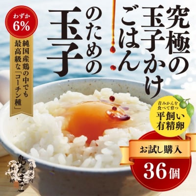【お試し】『島たまご』平飼い有精卵 36個(34個+割れ補償2個) [017-034]