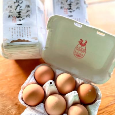 【お試し】『島たまご』平飼い有精卵 36個(34個+割れ補償2個) [017-034]