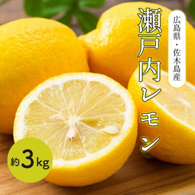 瀬戸内 れもん 約3kg レモン 国産 佐木島 三原 広島 [017-032]