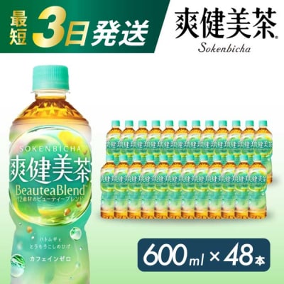 爽健美茶 600mlPET48本セット[014-058]