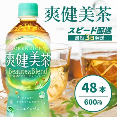 爽健美茶 PET 600ml×48本(24本×2ケース) [014-058]