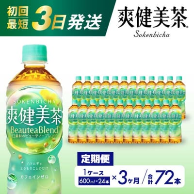 【定期便3か月】爽健美茶600ml PET 24本セット[014-059]