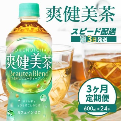 【3か月定期便】爽健美茶 PET 600ml×24本 [014-059]