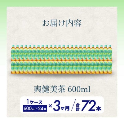 【定期便3か月】爽健美茶600ml PET 24本セット[014-059]