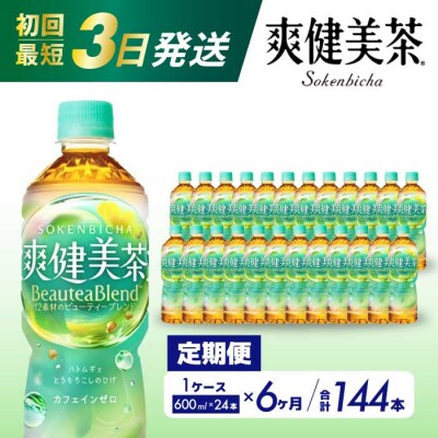 【定期便6か月】爽健美茶 600ml PET24本セット[014-060]