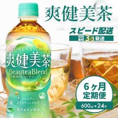 【6か月定期便】爽健美茶 PET 600ml×24本 [014-060]