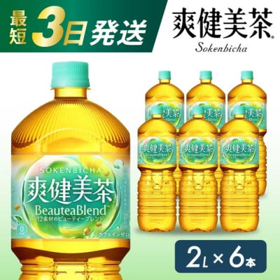 爽健美茶 PET 2L×6本(1ケース) [014-062]