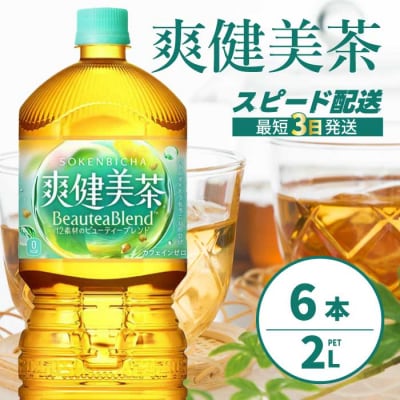 爽健美茶 PET 2L×6本(1ケース) [014-062]