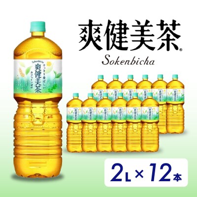 爽健美茶 2L PET12本(6本×2ケース) [014-063]
