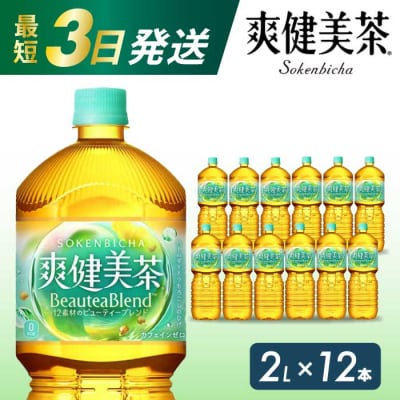  爽健美茶 PET 2L×12本(6本×2ケース)  [014-063]