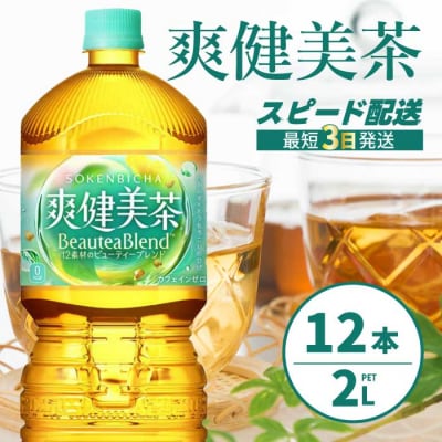 爽健美茶 PET 2L×12本(6本×2ケース) [014-063]
