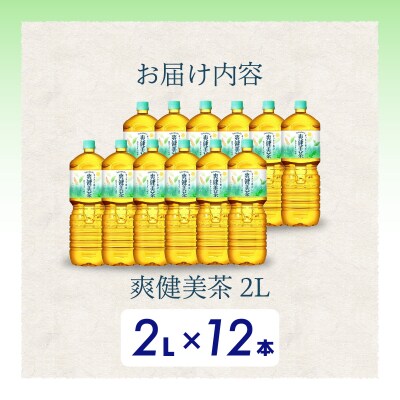 爽健美茶 2L PET12本(6本×2ケース) [014-063]