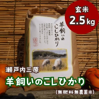 瀬戸内三原 羊飼いのこしひかり(無肥料無農薬)玄米2.5kg[002-009]