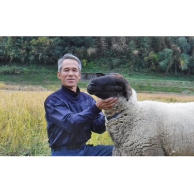 瀬戸内三原 羊飼いのこしひかり(無肥料無農薬)玄米2.5kg[002-009]