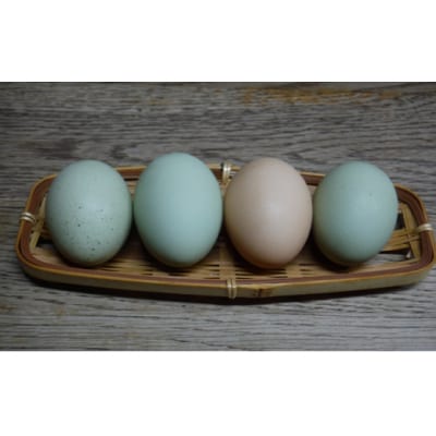 若草有精卵と無農薬こしひかり1.5kg(玄米)の玉子かけ御飯セット[002-014]