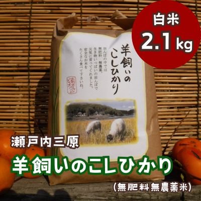 瀬戸内三原 羊飼いのこしひかり(無肥料無農薬)白米2.1kg[002-016]