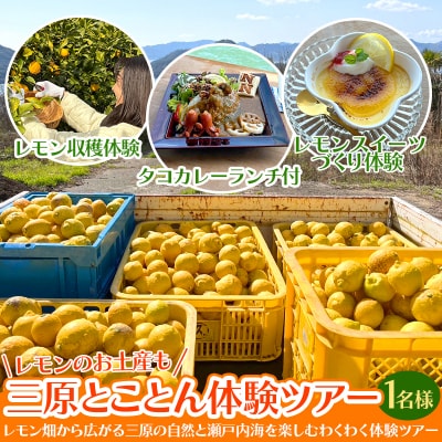 【三原とことん体験ツアー】レモンの収穫体験1名分(中学生以上)ランチ・お土産つき[043-017]