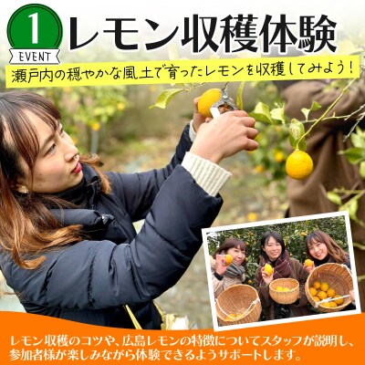 【三原とことん体験ツアー】レモンの収穫体験1名分(中学生以上)ランチ・お土産つき[043-017]