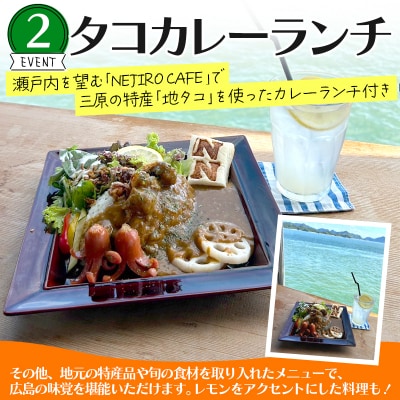 【三原とことん体験ツアー】レモンの収穫体験1名分(中学生以上)ランチ・お土産つき[043-017]