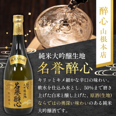 【びんご圏域連携】日本酒 飲み比べセット[162-001]