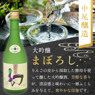 【びんご圏域連携】日本酒 飲み比べセット[162-001]