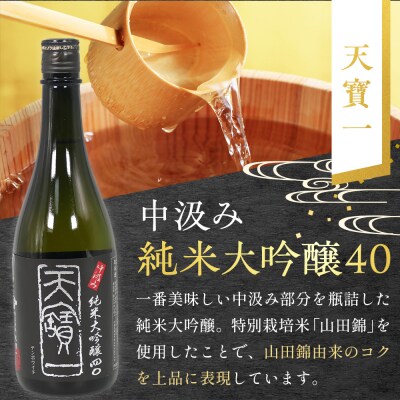 【びんご圏域連携】日本酒 飲み比べセット[162-002]