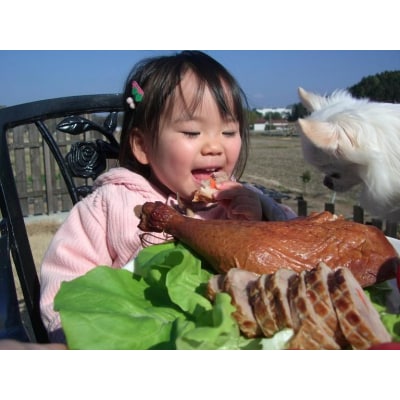無添加スモークチキン 胸肉 3個[024-004]