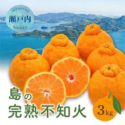 【2027年2月下旬～4月上旬頃出荷】瀬戸内 島の不知火 約3kg[164-001]