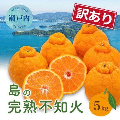 【2027年2月下旬～4月上旬頃出荷】【訳あり】瀬戸内 島の不知火 約5kg[164-003]