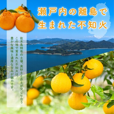 【2027年2月下旬～4月上旬頃出荷】【訳あり】瀬戸内 島の不知火 約5kg[164-003]
