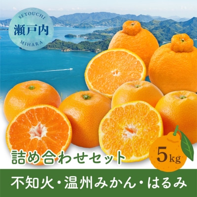 【2027年2月下旬～4月上旬頃出荷】瀬戸内 旬の柑橘詰め合わせ 約5kg[164-004]