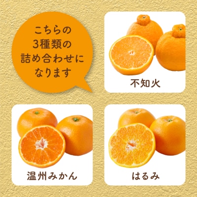 【2027年2月下旬～4月上旬頃出荷】瀬戸内 旬の柑橘詰め合わせ 約5kg[164-004]