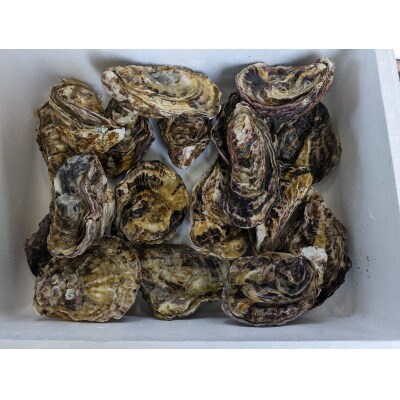 【びんご圏域連携】地元を味わう名産便(ジビエ・うつみ牡蠣小町・吉名じゃがいも)[183-002]