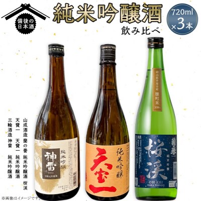【びんご圏域連携】備後の日本酒『純米吟醸酒』飲み比べセット 720ml×3本[165-001]